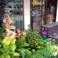 Магазин цветов в Тае
