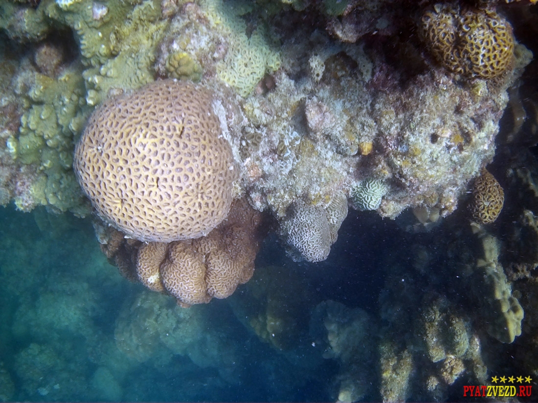 Подводные рифы