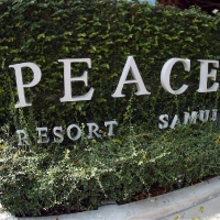 Peace resort Samui
