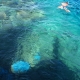 Кораллы под водой